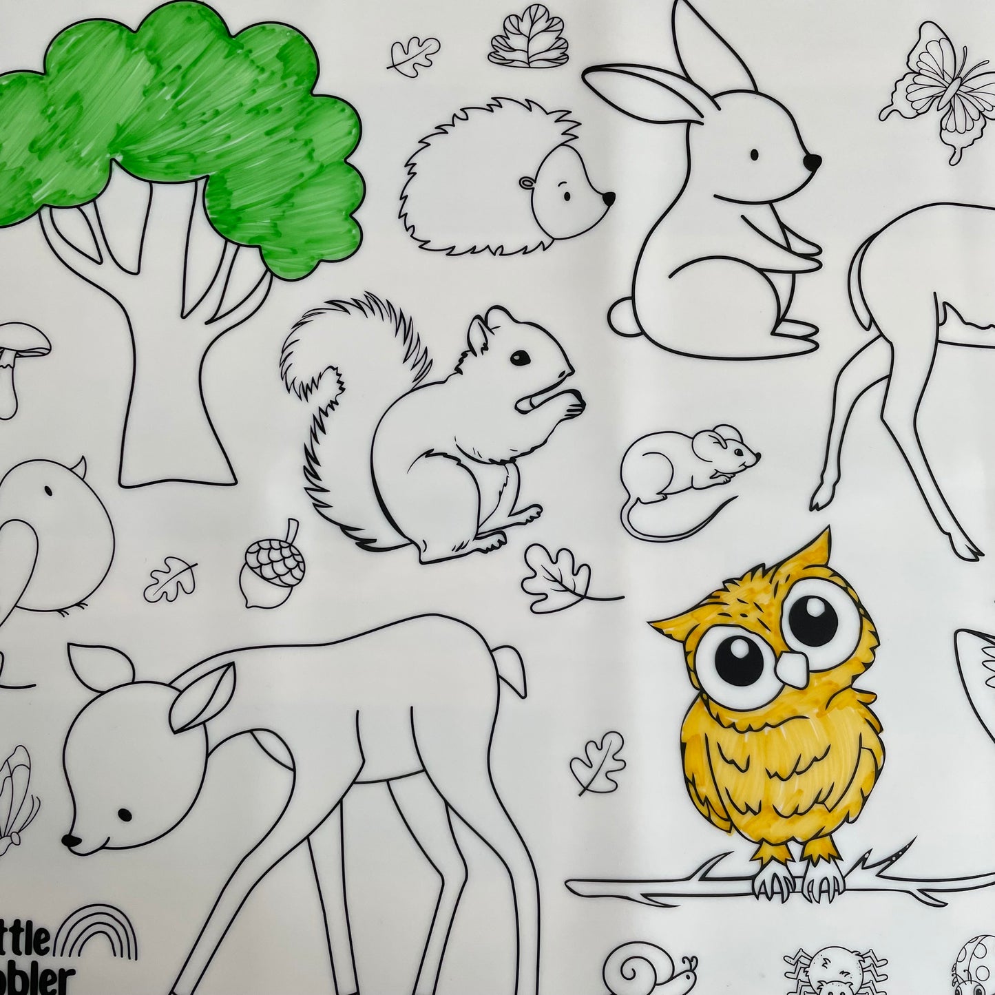 Woodland Creatures Reusable Wipe-Clean Colouring Mat